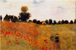 Poppies