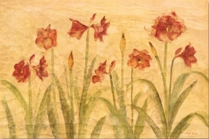 Row of Red Amaryllis