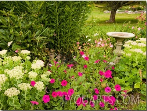 Birdbath and Flowers, Oakland House Seaside Resort, Brooksville