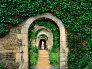 Ivy and Arches at Les Chartreuses Walled Gardens, Coupesarte, Basse Normandy, France