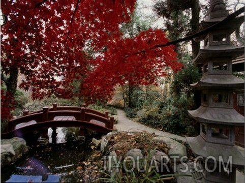 Japanese Garden Hillwood Museum and Gardens, Washington, D.C. USA