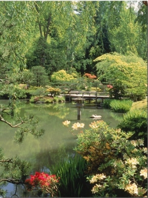 Japanese Garden, WAshington Park Arboretum, WA