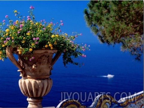 Flowers in Bloom on Terrace of Hotel San Pietro, Positano, Italy