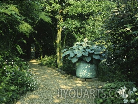 Shady Border, Foliage Plants and Hosta in Large Container Gravel Path,  Orchards
