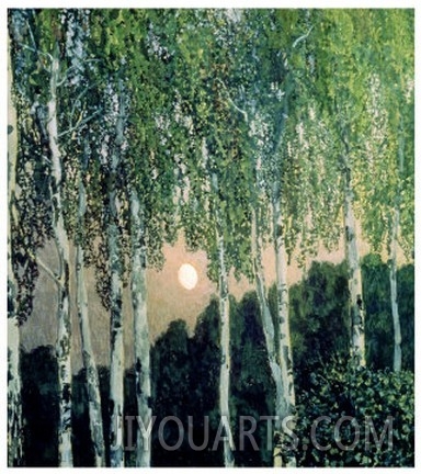 Birch Trees