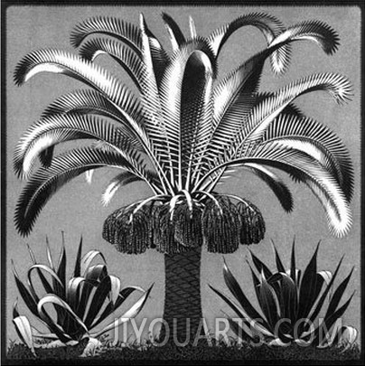 Palm, c.1933
