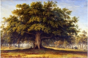 The Beggars Oak