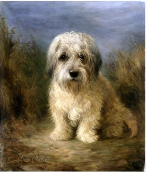 A Dandie Dinmont