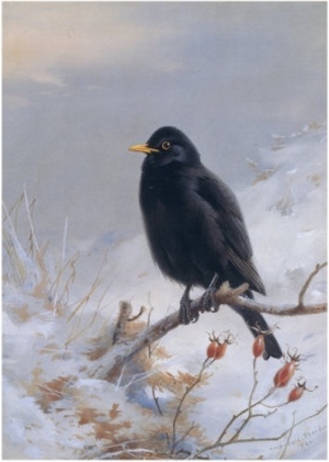 In Winter