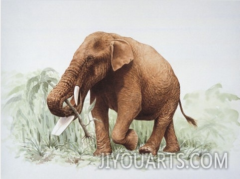 Elephant Eating Plant