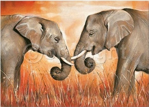 Elephant Kiss