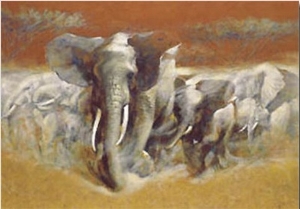 Elephants