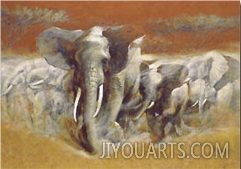 Elephants