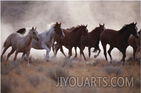 Grassland Herd