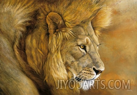 Lion du Serengeti