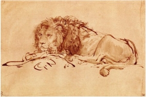 Lion Resting