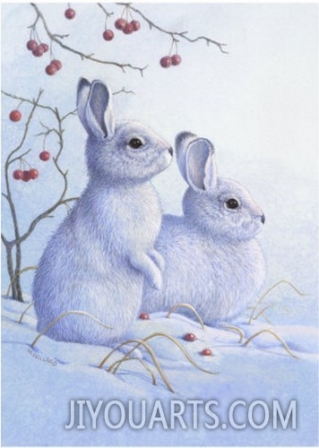 Two Bunnies in the Snow