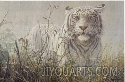 Monsoon  White Tiger (detail)