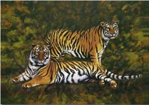 Tigers