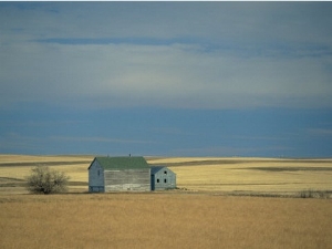 Farm Buildings on the Prairie, North Dakota, USA