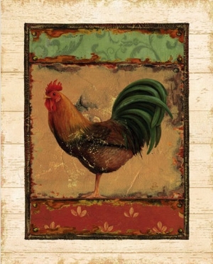 Rooster Portraits IV