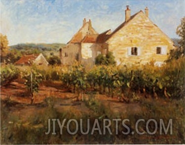 Vineyard Cottages in Jully