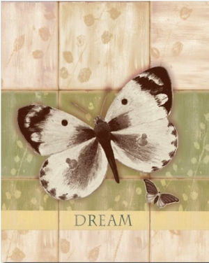 Dream