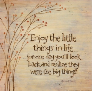 Enjoy The Little Things