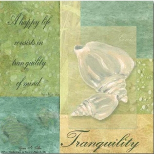 Under the Sea Spa, Tranquility