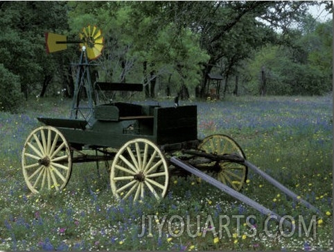 Old Wagon and Wildflowers, Devine, Texas, USA