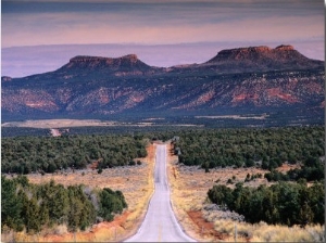 Bears Ears Buttes from Cedar Mesa, Moki Dugway Road, Manti La Sal National Forest, USA