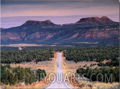 Bears Ears Buttes from Cedar Mesa, Moki Dugway Road, Manti La Sal National Forest, USA