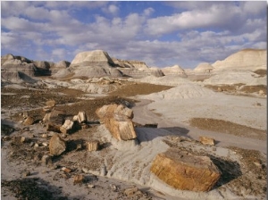 Blue Mesa, Petrified Forest National Park, Arizona, USA