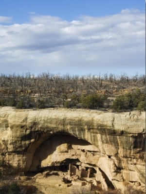 Cliff Palace Ruins in Mesa Verde, Mesa Verde National Park, Colorado, USA