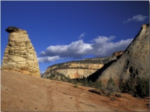 Hoodoo at the Mesa Area, Zion National Park, Utah, USA