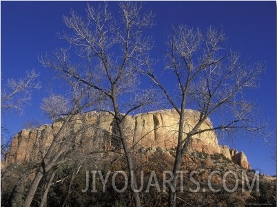 Kitchen Mesa and Bare Cottonwood Trees, New Mexico