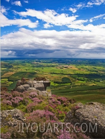 Pastoral Fields from Above Coumshingaun Lake, Comeragh Mountains, County Waterford, Ireland