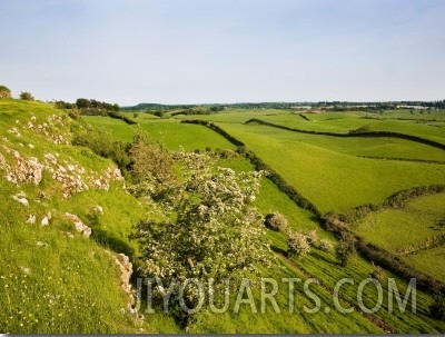 Drumlin Landscape, from Roche Castle, County Louth, Ireland