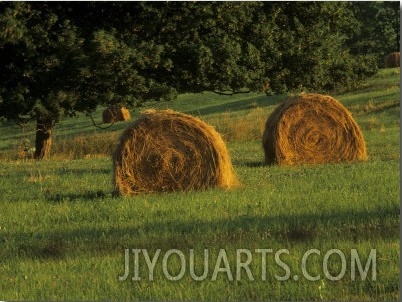Hay Bales at Sunrise, Louisville, Kentucky, USA