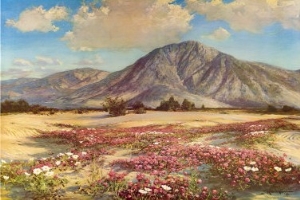 Desert in Spring