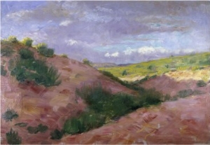 Zuni Desert