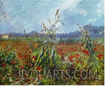 Field of Wild Poppies