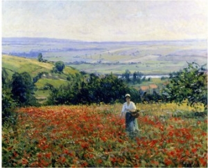 In the Poppy Field