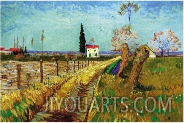 Path Through a Field with Willows