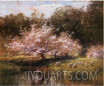 Sheep Grazing Under Apple Blossoms