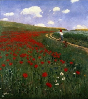 The Poppy Field