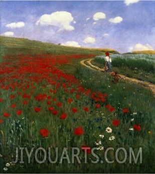 The Poppy Field