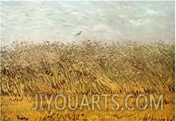 The Wheat Field