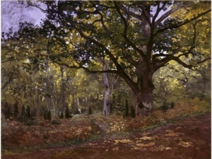 Bodmer Oak, Fontainbleau Forest