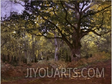 Bodmer Oak, Fontainbleau Forest